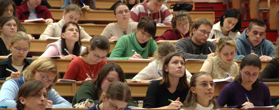 绿色无污染的在线短信网页版免费版